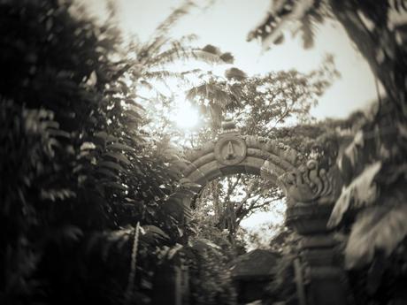 Kauai Photo Diary dreamcreate-kauai-2 2