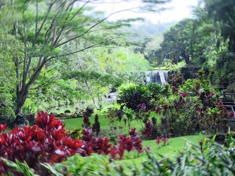 Kauai Photo Diary dreamcreate-kauai-6 2