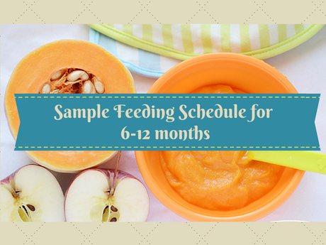 A sample feeding schedule for your baby (6-12 months)