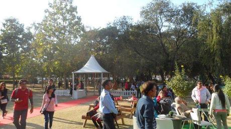 Palate Festival- Overview Palate Festival- Overview