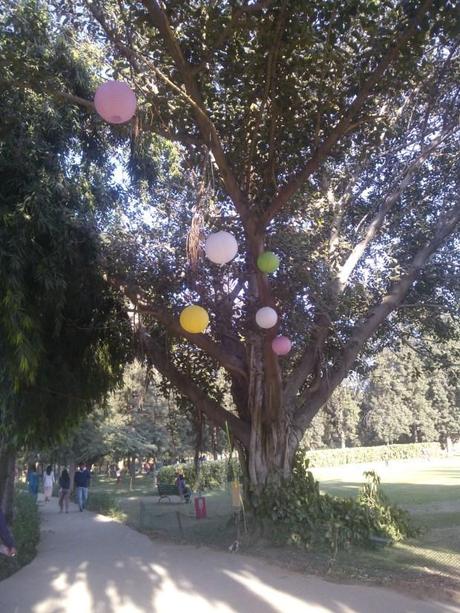 Palate Festival- Overview Palate Festival- Overview