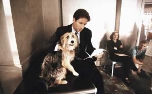 David-Duchovny-and-Gillian-Anderson-on-the-set-of-The-X-Files
