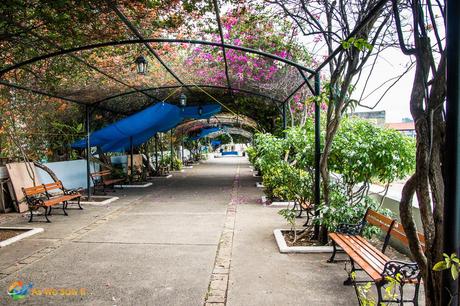 Paseo las Bovedas is a trellised walkway covered in vines and bougainvillea