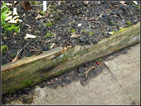 Hardware upgrade required Hardware upgrade required