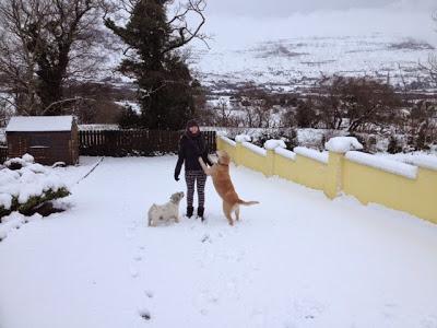 More snow...... More snow......