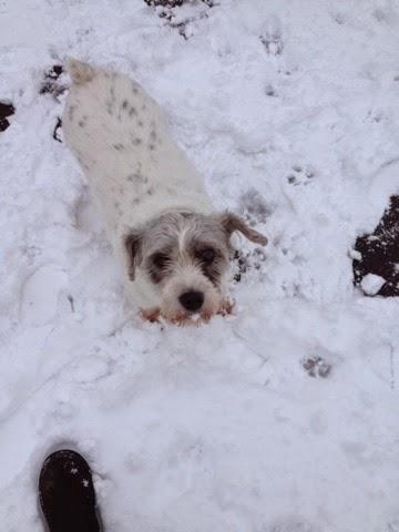 More snow...... More snow......