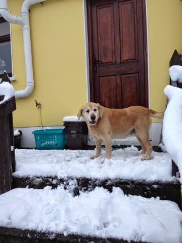 More snow...... More snow......