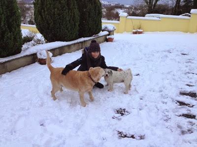 More snow...... More snow......