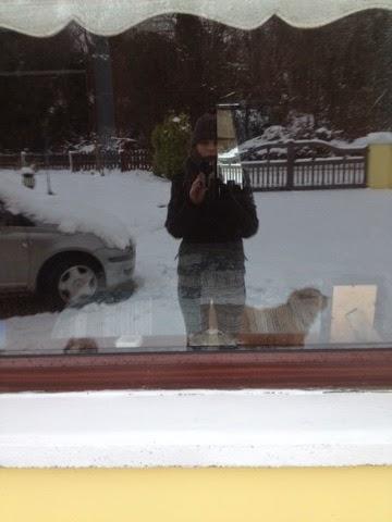 More snow...... More snow......