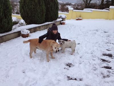 More snow...... More snow......