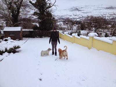 More snow...... More snow......