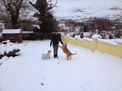 More snow...... More snow......