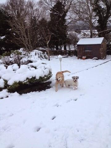 More snow...... More snow......