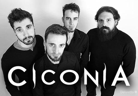 ciconia-band
