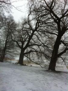 Helsinki Snow 1