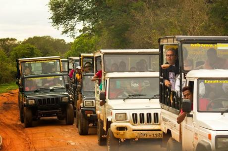 Jeeps at Yala, with everyone hoping to catch a glimpse of a leopard.