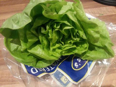 What to do with leftover Lettuce