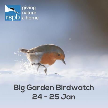 RSPB big garden birdwatch 2015