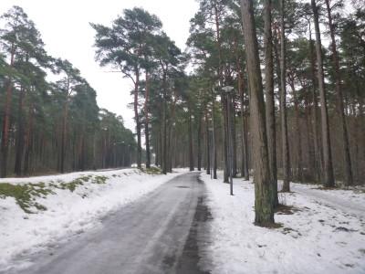 Visiting the Joey Dunlop Memorial in Tallinn, Estonia Just after this path you can see the memorial on the left.