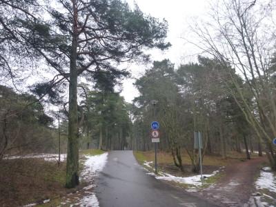 Visiting the Joey Dunlop Memorial in Tallinn, Estonia The path