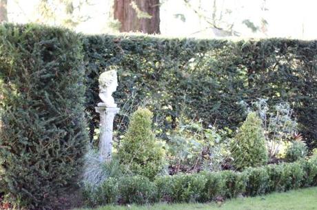 Garden-Topiary