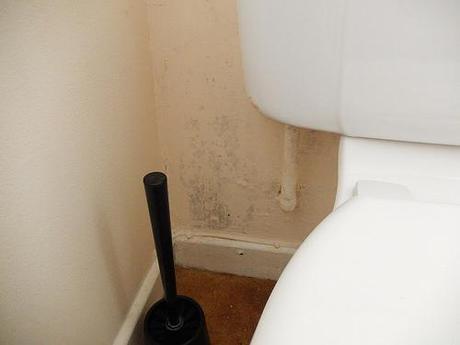 Combating Mould