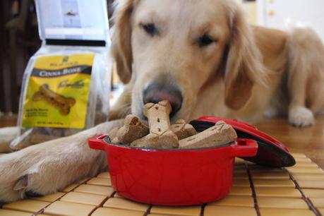 Holistic Dog Treats Delivered Right to Your Door