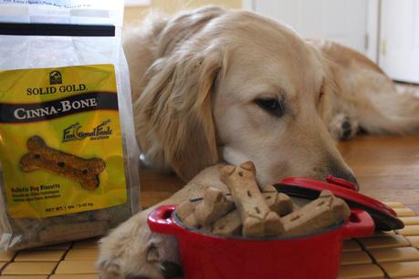 Holistic Dog Treats Delivered Right to Your Door