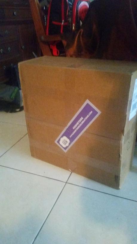 #Disneyside package Life Lately: L.A. Edition