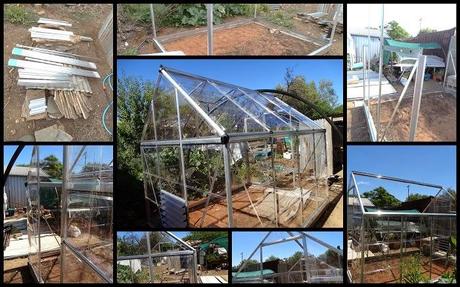 End of January...Greenhouse.