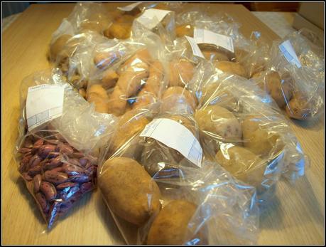 Hampshire Potato Day