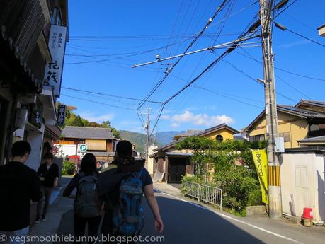 Osaka/ Tokyo Autumn Itinerary 2014: Day 3- Kyoto's Arashiyama/ Monkey Park/ Bamboo Groves/