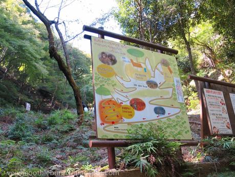 Osaka/ Tokyo Autumn Itinerary 2014: Day 3- Kyoto's Arashiyama/ Monkey Park/ Bamboo Groves/