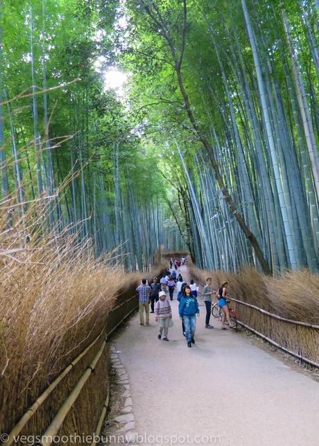 Osaka/ Tokyo Autumn Itinerary 2014: Day 3- Kyoto's Arashiyama/ Monkey Park/ Bamboo Groves/