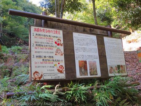 Osaka/ Tokyo Autumn Itinerary 2014: Day 3- Kyoto's Arashiyama/ Monkey Park/ Bamboo Groves/