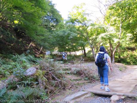 Osaka/ Tokyo Autumn Itinerary 2014: Day 3- Kyoto's Arashiyama/ Monkey Park/ Bamboo Groves/