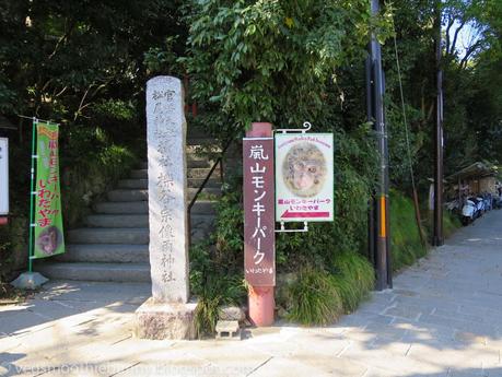 Osaka/ Tokyo Autumn Itinerary 2014: Day 3- Kyoto's Arashiyama/ Monkey Park/ Bamboo Groves/