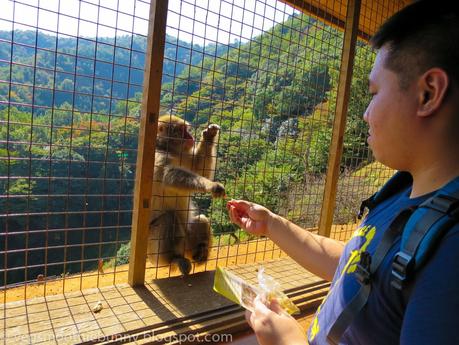 Osaka/ Tokyo Autumn Itinerary 2014: Day 3- Kyoto's Arashiyama/ Monkey Park/ Bamboo Groves/