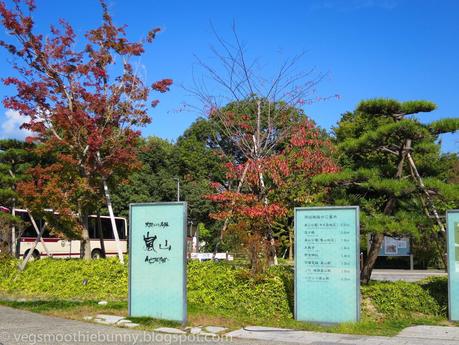 Osaka/ Tokyo Autumn Itinerary 2014: Day 3- Kyoto's Arashiyama/ Monkey Park/ Bamboo Groves/