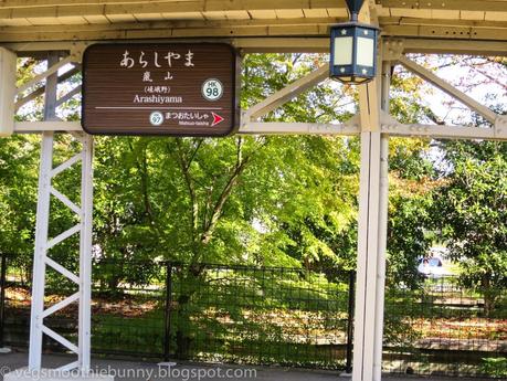 Osaka/ Tokyo Autumn Itinerary 2014: Day 3- Kyoto's Arashiyama/ Monkey Park/ Bamboo Groves/