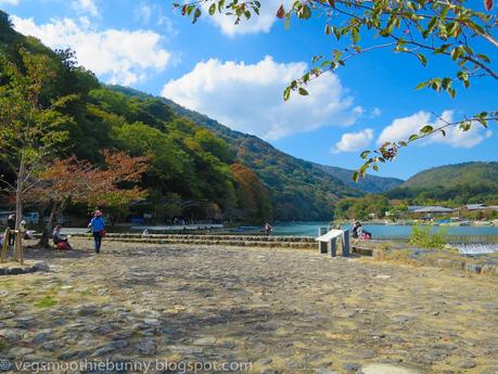 Osaka/ Tokyo Autumn Itinerary 2014: Day 3- Kyoto's Arashiyama/ Monkey Park/ Bamboo Groves/