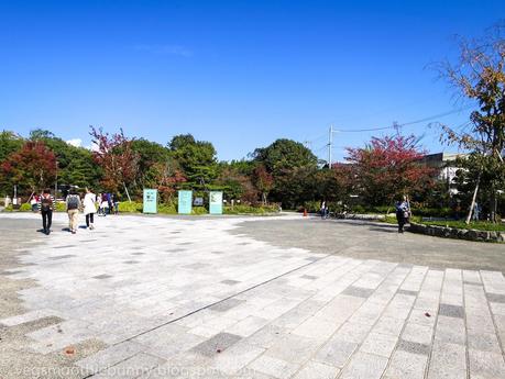 Osaka/ Tokyo Autumn Itinerary 2014: Day 3- Kyoto's Arashiyama/ Monkey Park/ Bamboo Groves/