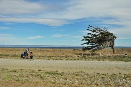 This is the typical photo that every touring cyclist seems to have from this region, and for good reason, as this tree really shows how windy this region is.