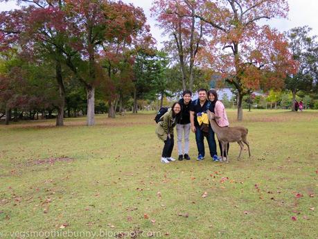 Osaka/ Tokyo Autumn Itinerary 2014: Day 4 (Part 1)- Kyoto's Nara Deer Park