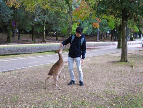 Osaka/ Tokyo Autumn Itinerary 2014: Day 4 (Part 1)- Kyoto's Nara Deer Park