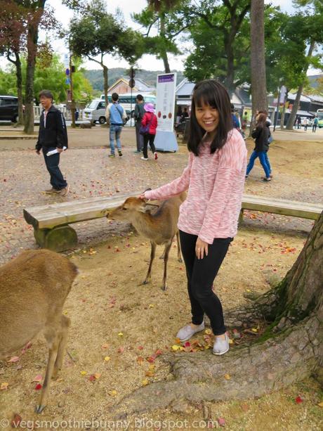 Osaka/ Tokyo Autumn Itinerary 2014: Day 4 (Part 1)- Kyoto's Nara Deer Park