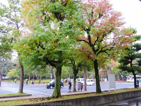 Osaka/ Tokyo Autumn Itinerary 2014: Day 4 (Part 1)- Kyoto's Nara Deer Park