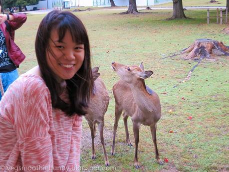 Osaka/ Tokyo Autumn Itinerary 2014: Day 4 (Part 1)- Kyoto's Nara Deer Park