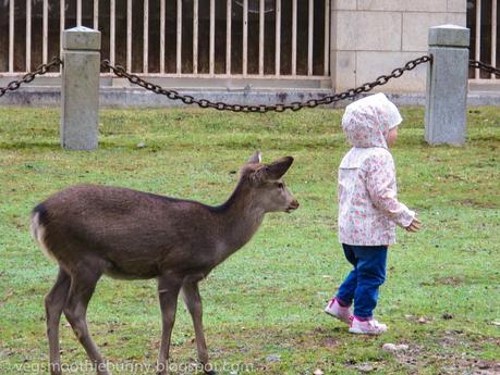 Osaka/ Tokyo Autumn Itinerary 2014: Day 4 (Part 1)- Kyoto's Nara Deer Park