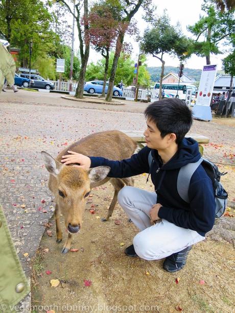 Osaka/ Tokyo Autumn Itinerary 2014: Day 4 (Part 1)- Kyoto's Nara Deer Park